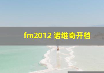 fm2012 诺维奇开档